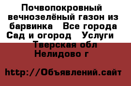 Почвопокровный, вечнозелёный газон из барвинка - Все города Сад и огород » Услуги   . Тверская обл.,Нелидово г.